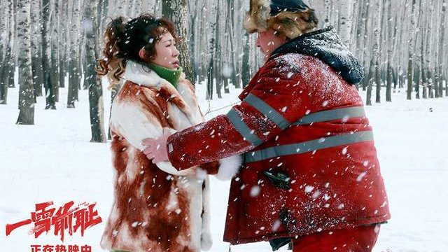 乔杉马丽《一雪前耻》好评热映中 地道生动的东北刻画狂揽共鸣无数|一雪前耻|马丽|金雁_新浪新闻