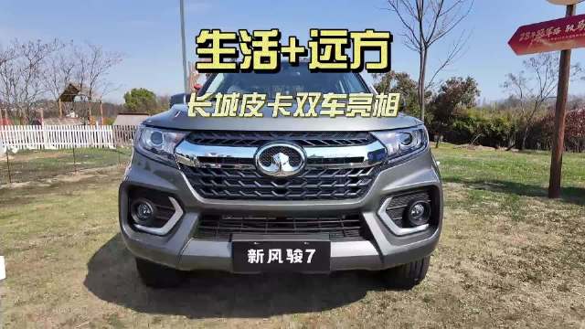 生活+远方，长城<em>皮卡</em>双车亮相