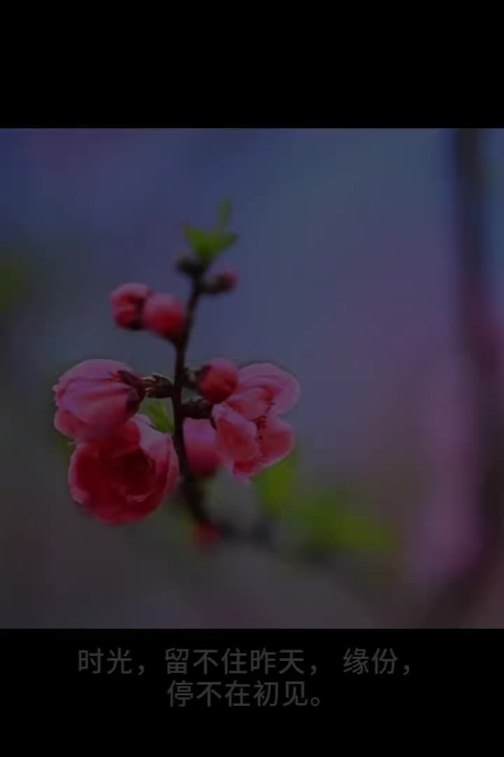 老祖宗的话
