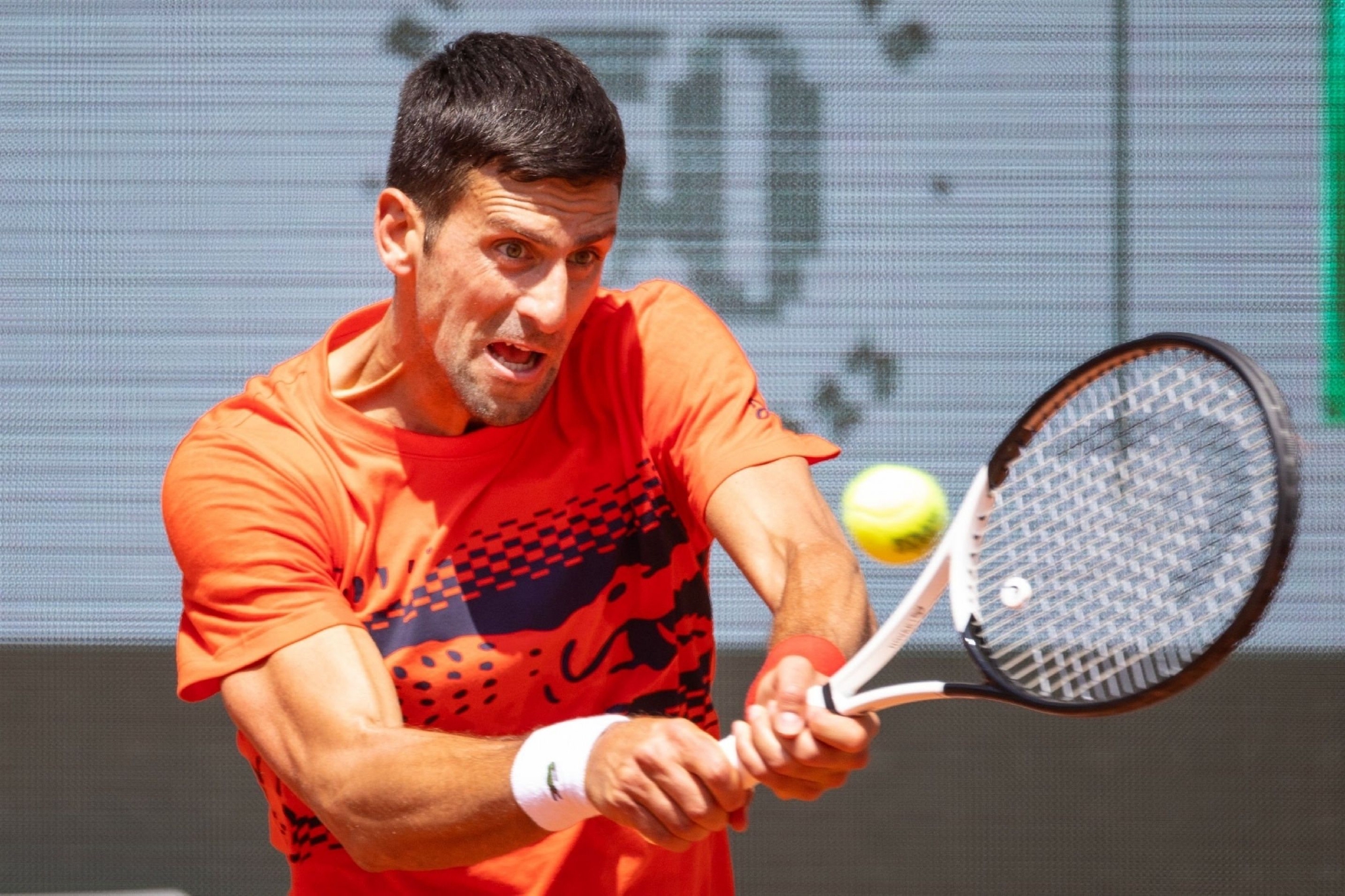 德约科维奇备战训练_高清图集_新浪网