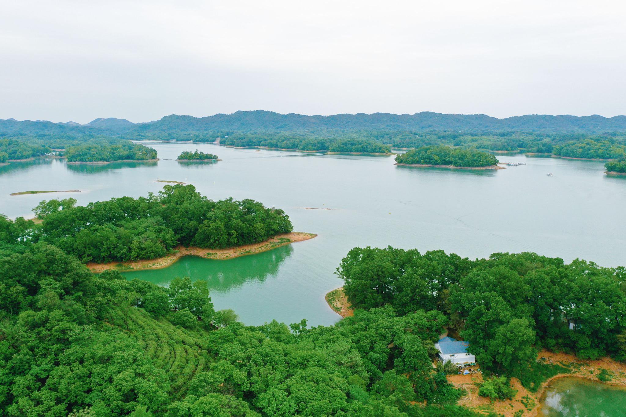 信阳南湾湖美景图片