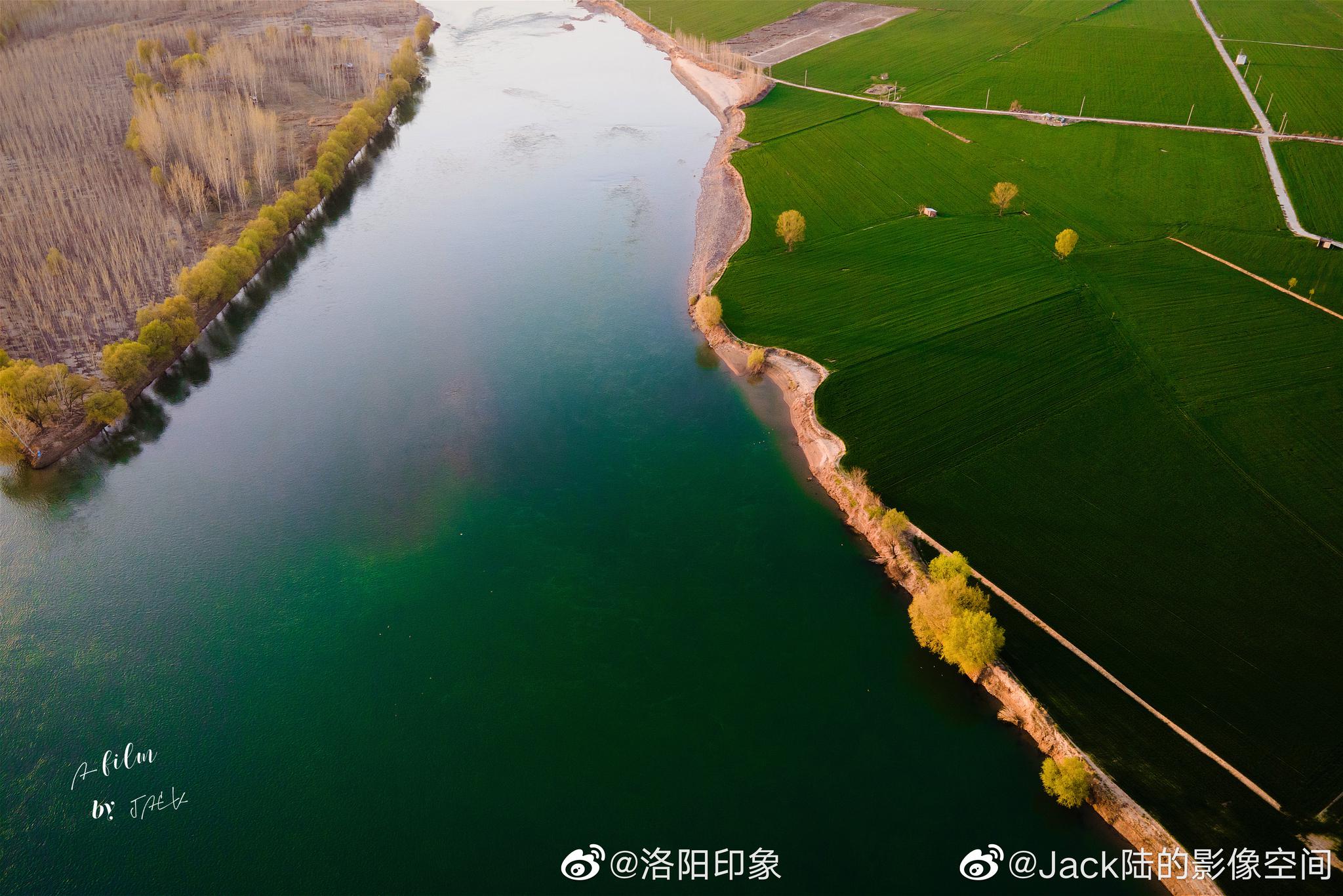 孟津黄河湿地自然保护区,真漂亮 这回成城市湿地公园了