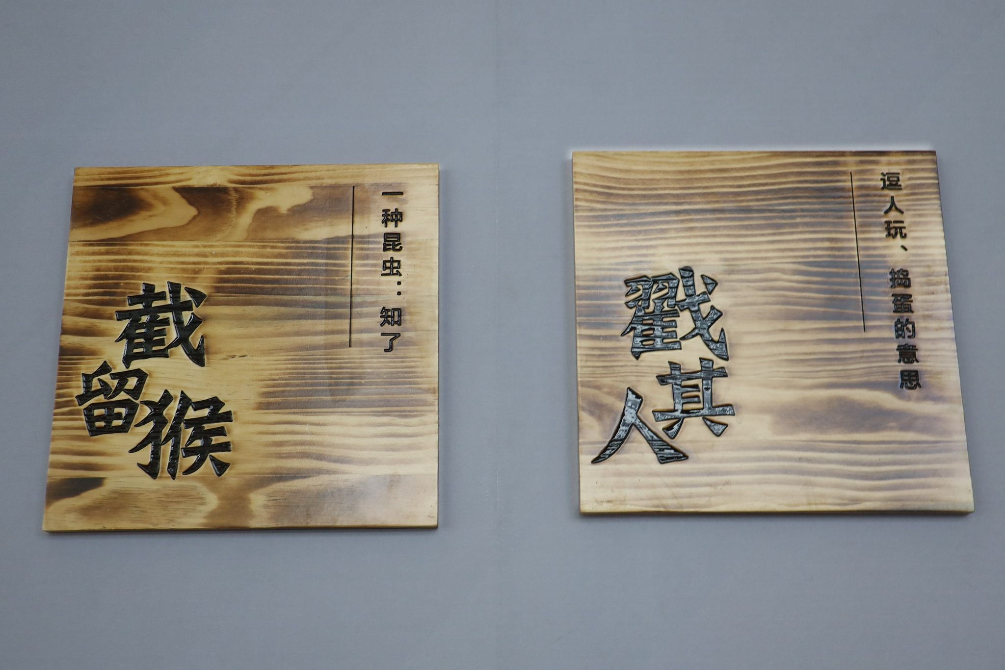 来看看正宗的青岛话是啥样的和你的老家方言有什么区别吗