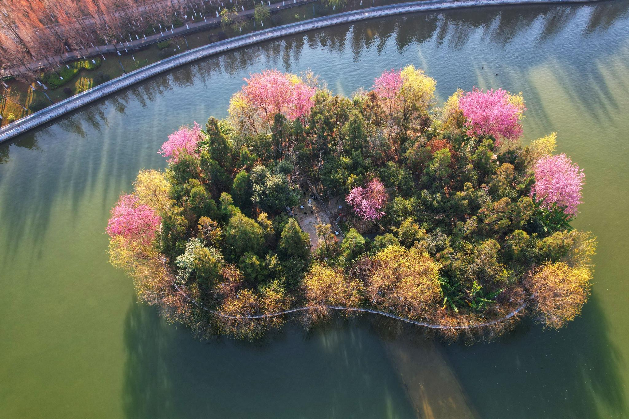 航拍临沧玉龙湖樱花岛_高清图集_新浪网