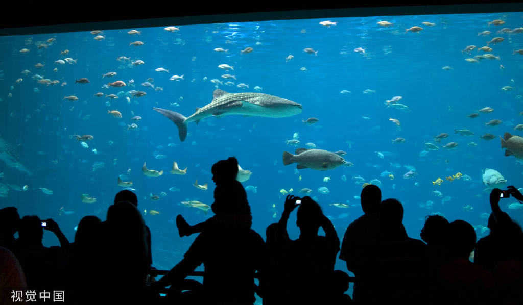 好客山东这十年休闲区蓝鸢梦想 - Www.slyday.coM