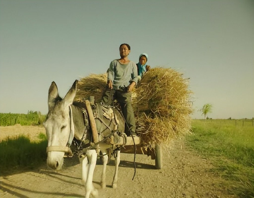 《隐入尘烟》拍得太假,故意丑化农村?真实情况让人看了更心酸休闲区蓝鸢梦想 - Www.slyday.coM 《隐入尘烟》拍得太假,故意丑化农村?真实情况让人看了更心酸休闲区蓝鸢梦想 - Www.slyday.coM