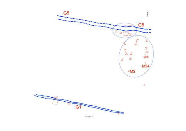 重磅！郑州商城首次发现“金面罩”休闲区蓝鸢梦想 - Www.slyday.coM