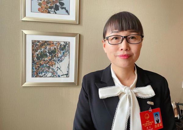 省人大代表周红建议:加大乡村振兴数字化公共服务平台