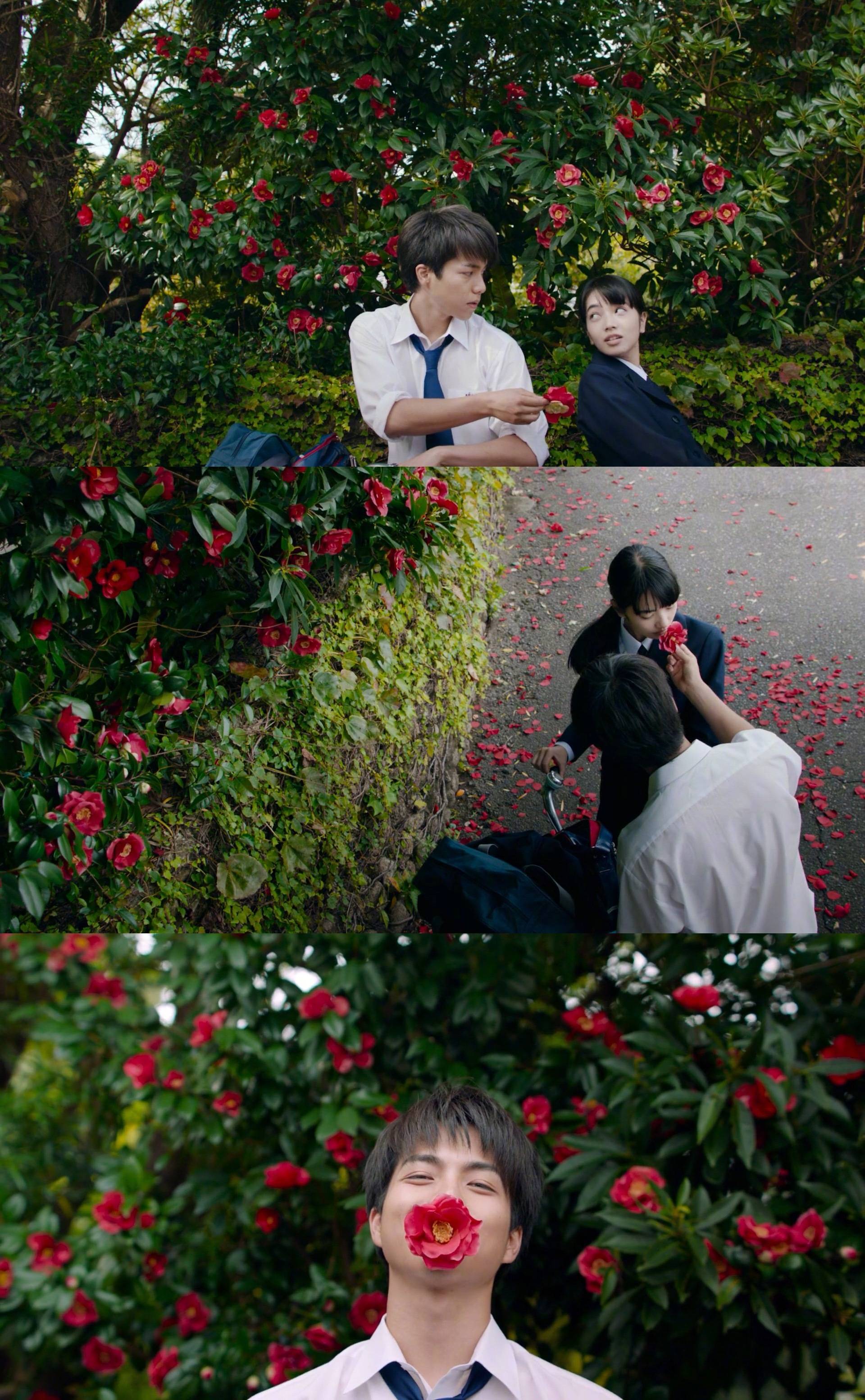 热门影视《花样男子》下载指南，轻松拥有全剧资源！ (电视剧花帜)