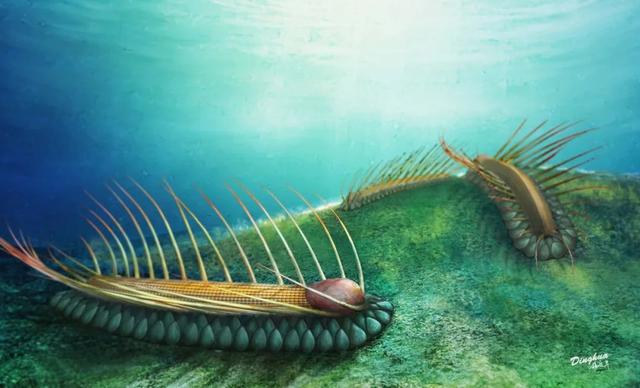 艺术与科学的碰撞带你走近古生物复原图的世界复原图画师杨定华专访