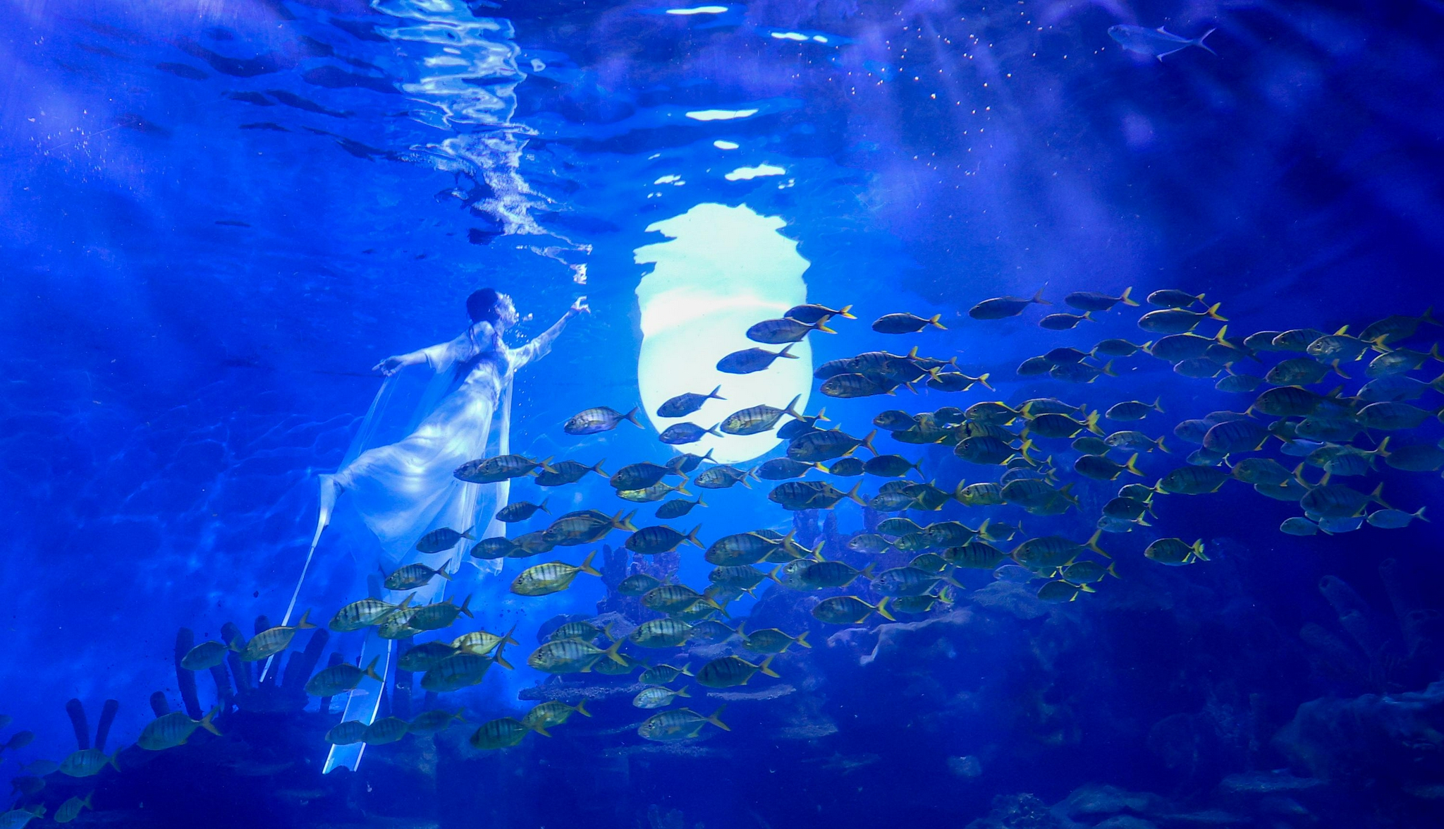 武汉:女孩扮嫦娥水下"奔月"