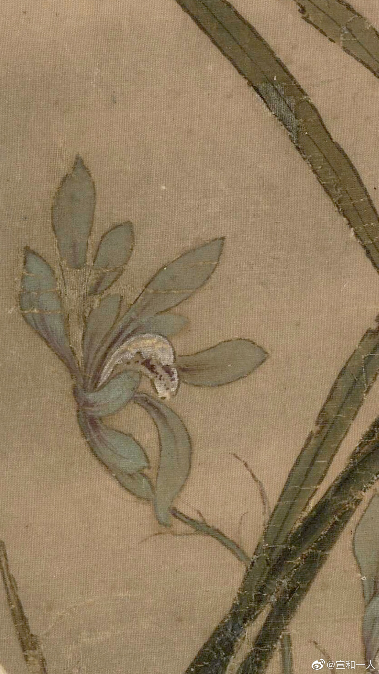 秋兰绽蕊图南宋佚名双钩填彩秋兰挺沁