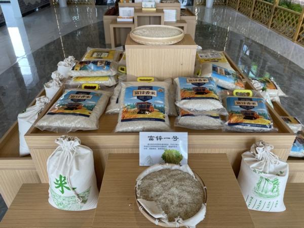 江油市乡镇经济GDP_江油:吹响基层监督哨护航村集体经济发展壮大