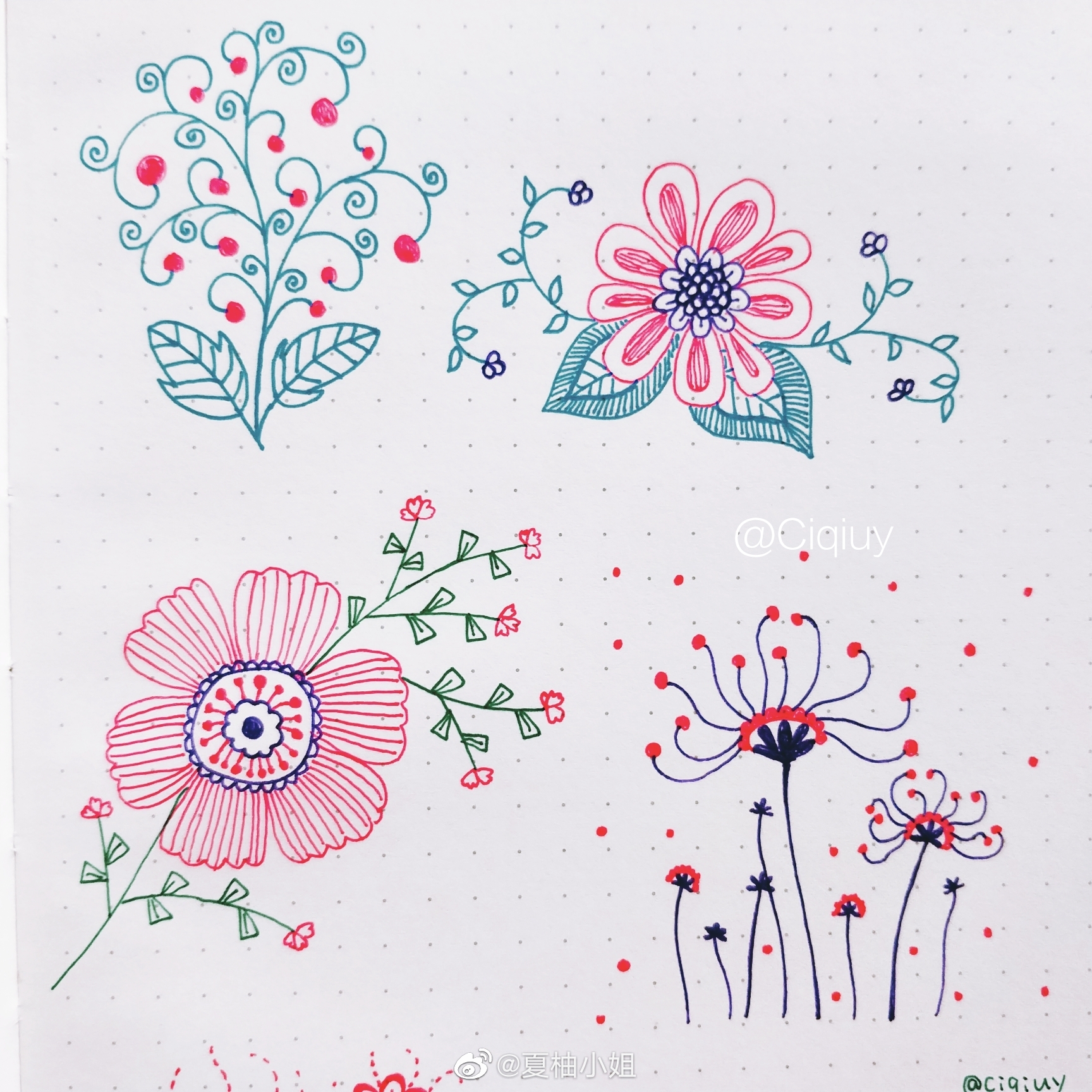 简笔画手帐花叶植物素材 高清图集 新浪网 简笔画手帐花叶植物素材 高清图集 新浪网