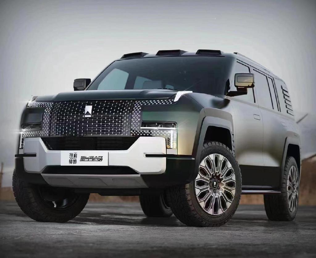 电动mini,仰望r1都要来了,明年这10款新能源新车值得看-新浪汽车