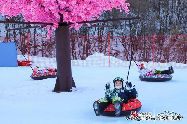 用鏡頭訴說金山嶺滑雪場無與倫比的魅力