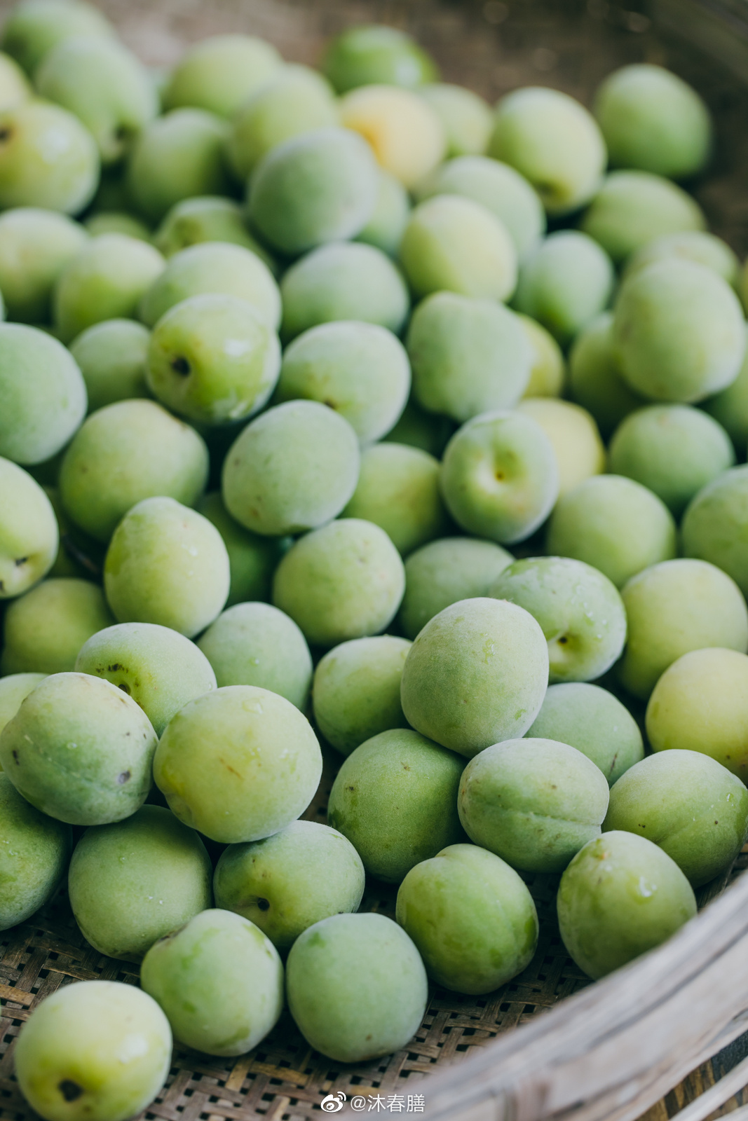 云南的梅子开始成熟了,15号左右开始出货……_高清图集_新浪网