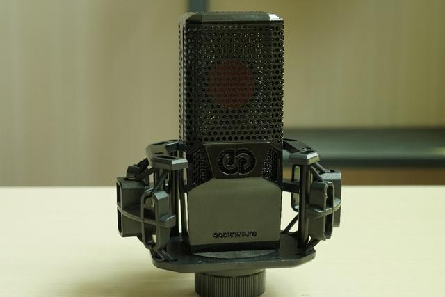 "声音控"成长之道,少不了出色的"声麦"组合