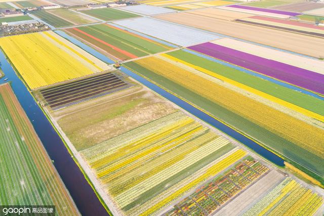 摄影欣赏:农田艺术