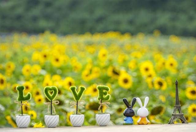 “喜欢如此追求你的人，人品通常不会太好”休闲区蓝鸢梦想 - Www.slyday.coM