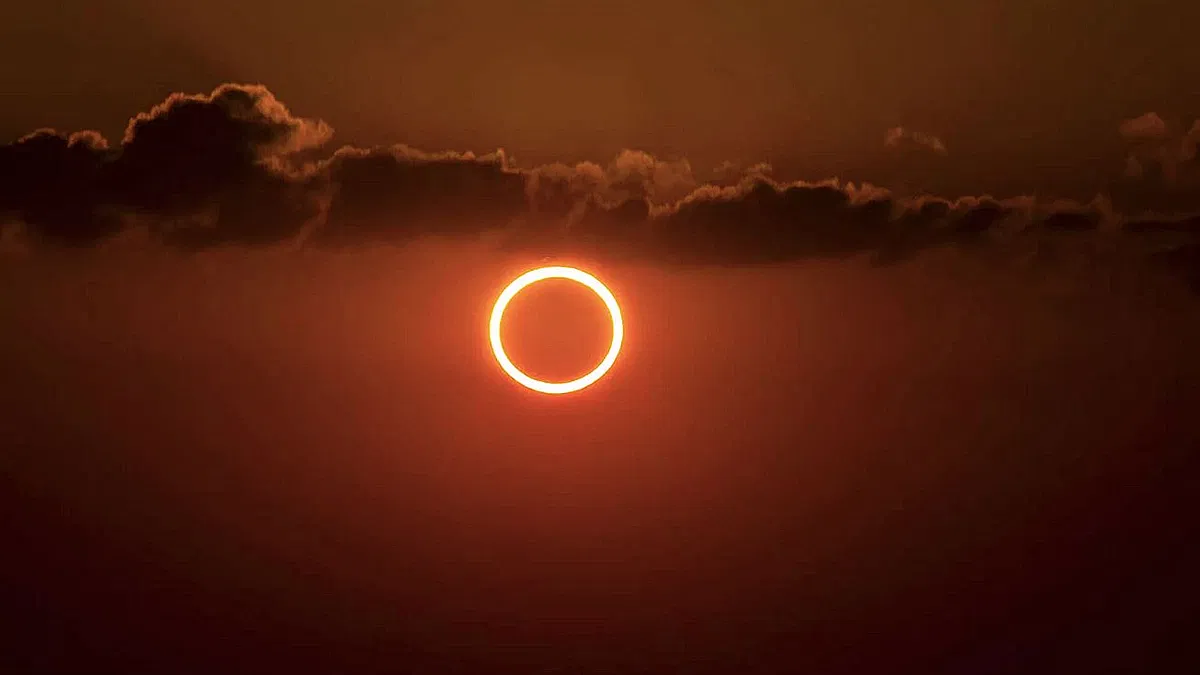 月球|日偏食_新浪新闻