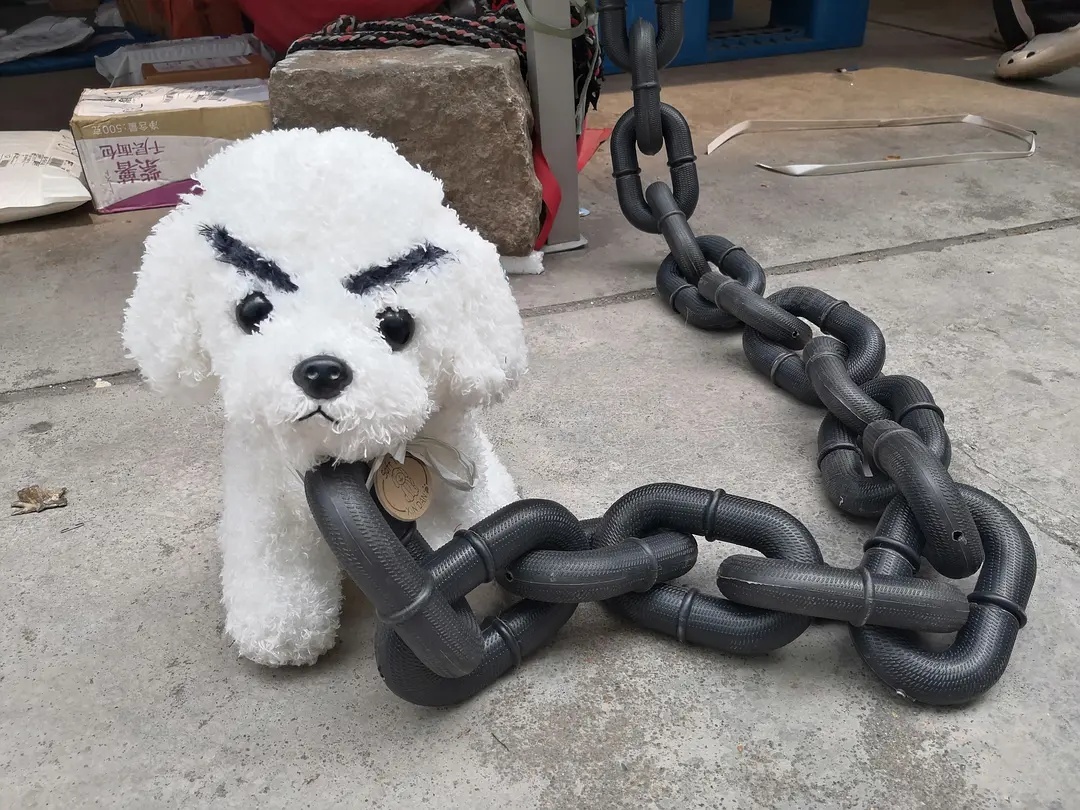 恶犬看门,最萌的脸要配最凶的表情_高清图集_新浪网