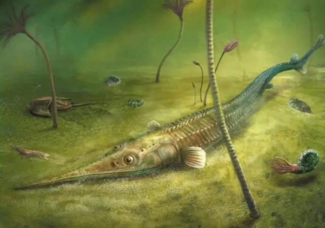 艺术与科学的碰撞带你走近古生物复原图的世界复原图画师杨定华专访