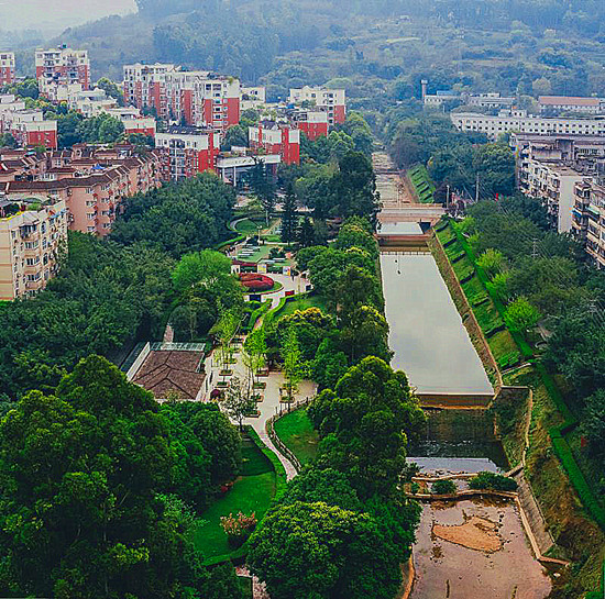 龙泉驿滨河北路获评成都市最美街道