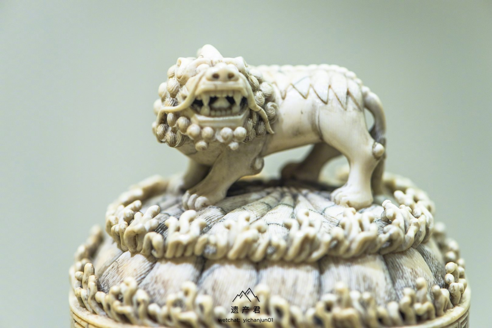 清代牙雕兽耳活环盖瓶_高清图集_新浪网