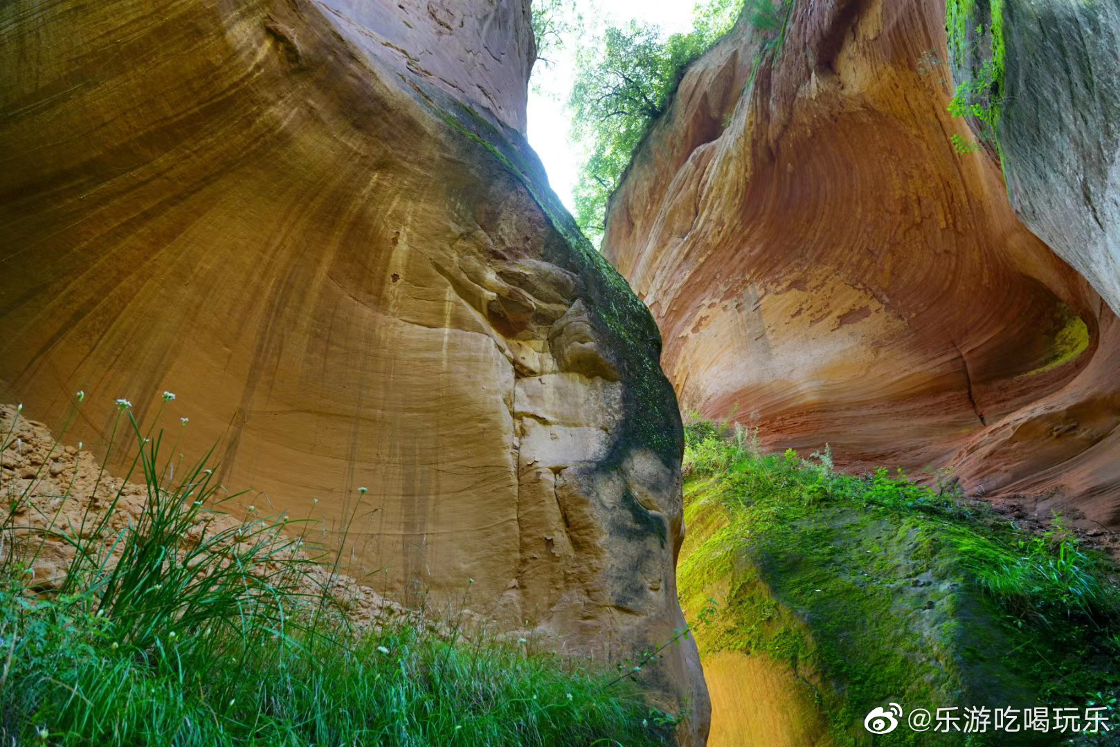 志丹县毛项大峡谷图片
