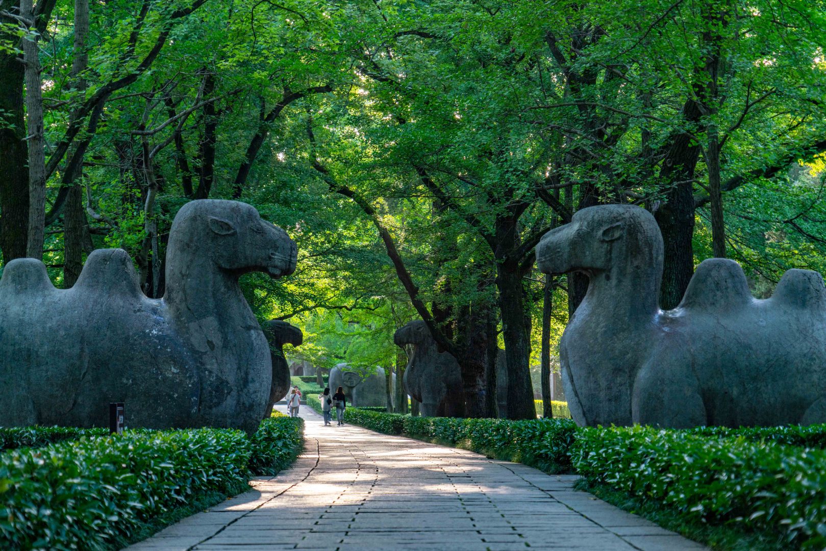 明孝陵的夏天_高清图集_新浪网