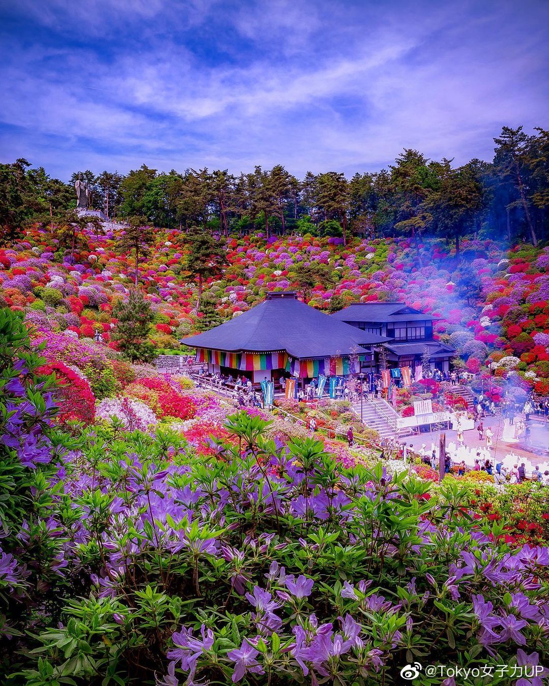 東京都 青梅市 塩船観音寺