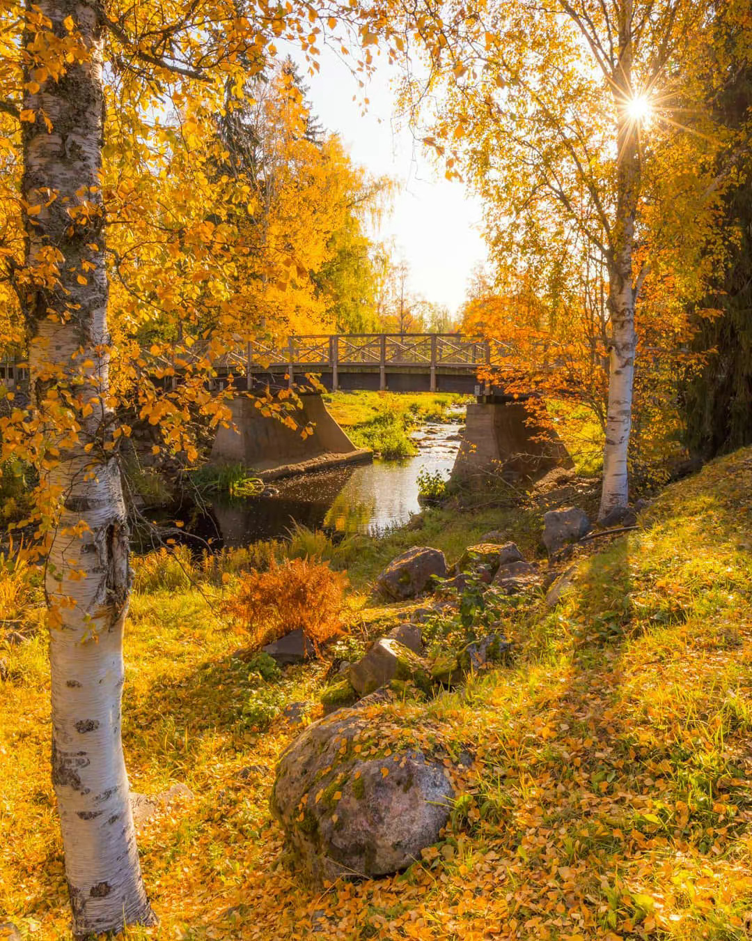 芬兰秋季乡村风光