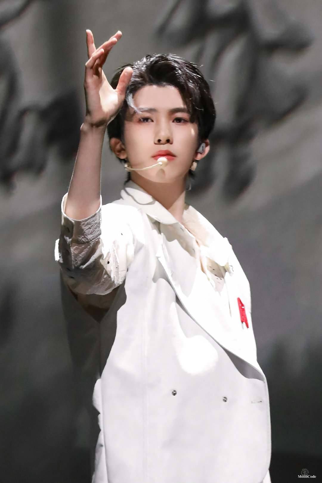 into1家族年夜fan舞台上的林墨闪闪发光