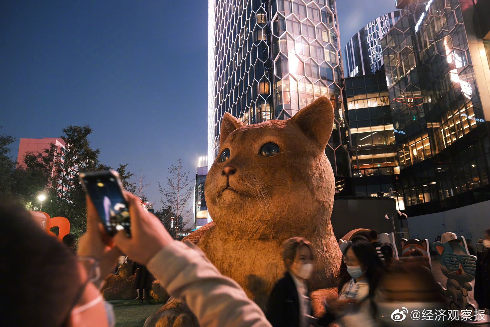 近日,一只憨态可掬的巨型猫咪现身网红圣地北京三里屯