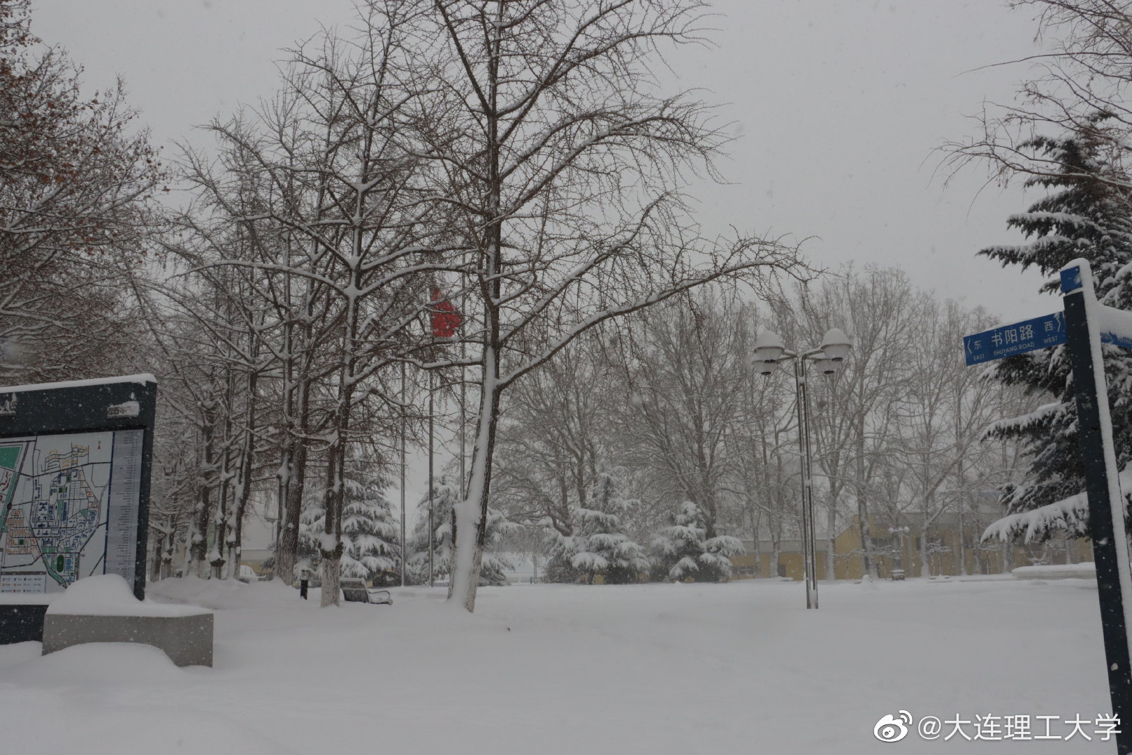 风雨送春归 飞雪迎春到 图源leo