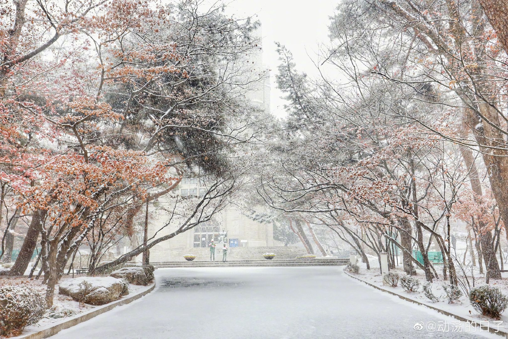 首尔庆熙大学一下雪庆熙大学就成了霍格沃茨