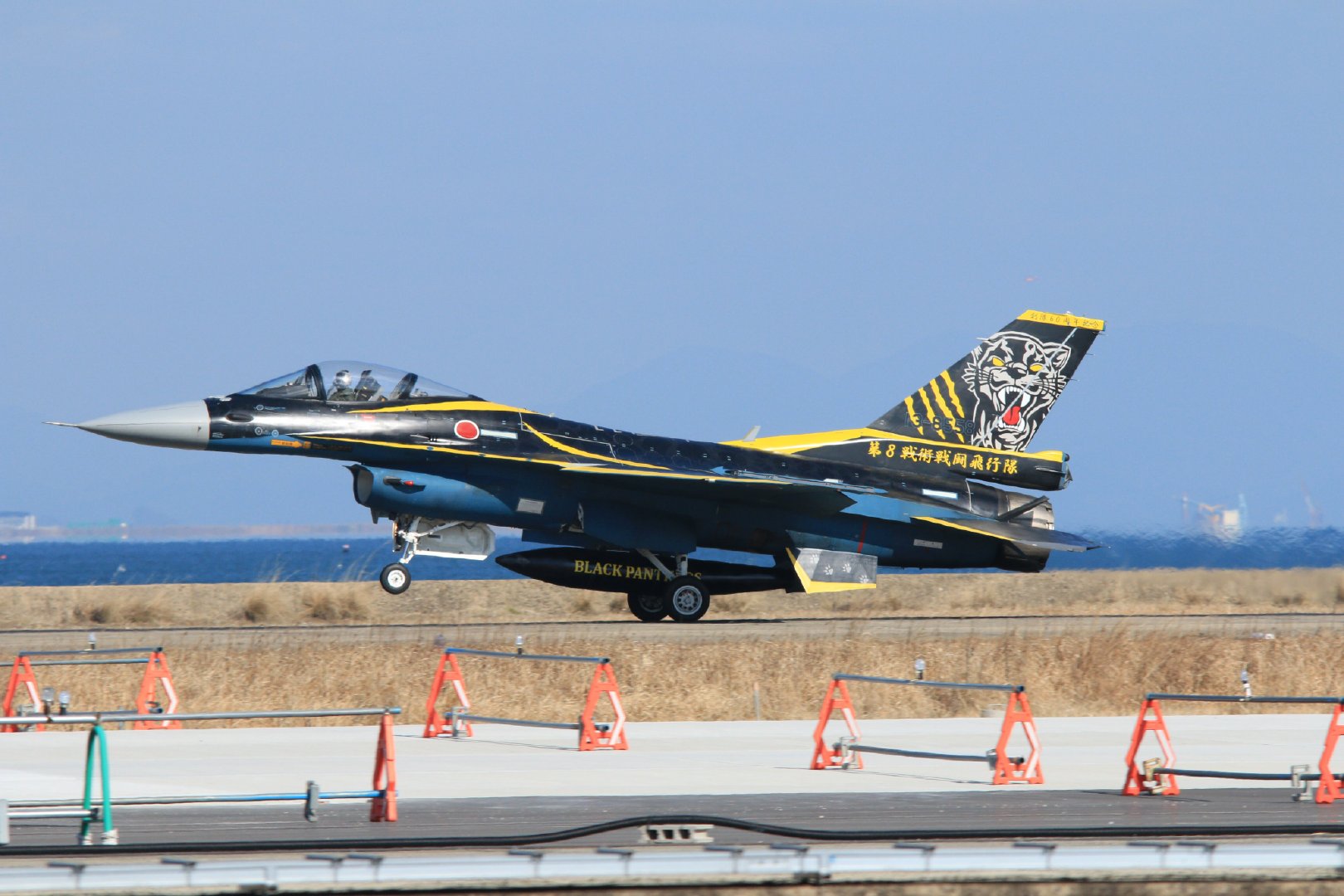 第八战术战斗机中队60周年涂装机