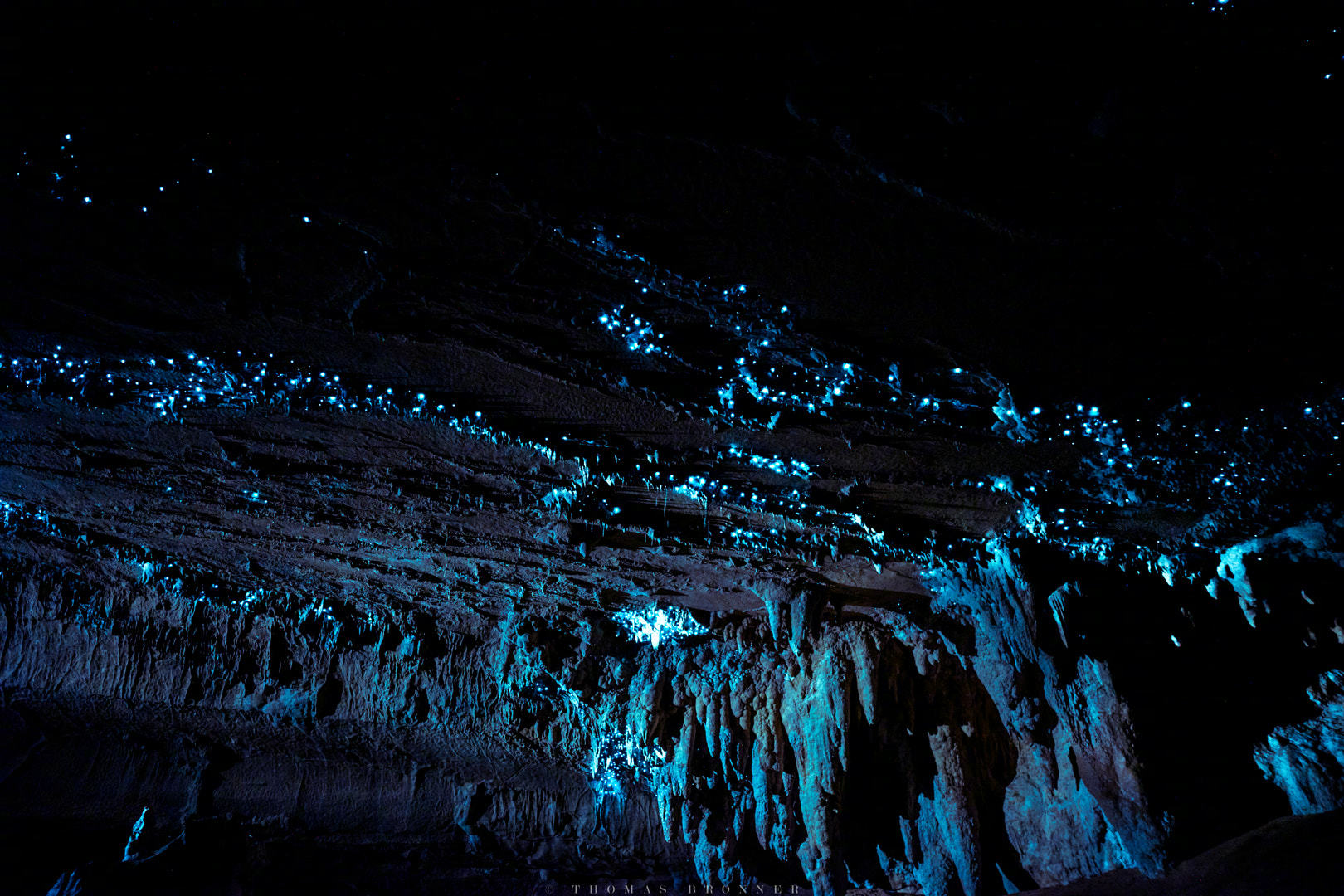 怀托摩萤火虫洞是一处十分难得的活性岩石洞穴