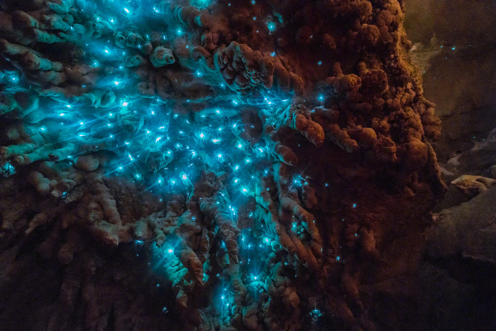 怀托摩萤火虫洞是一处十分难得的活性岩石洞穴