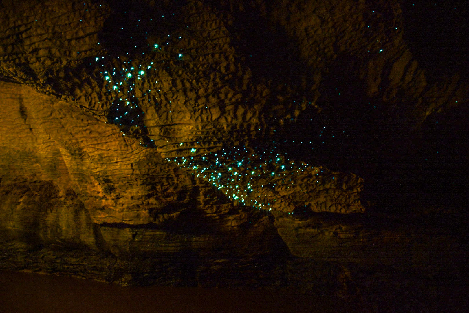 怀托摩萤火虫洞是一处十分难得的活性岩石洞穴……__财经头条