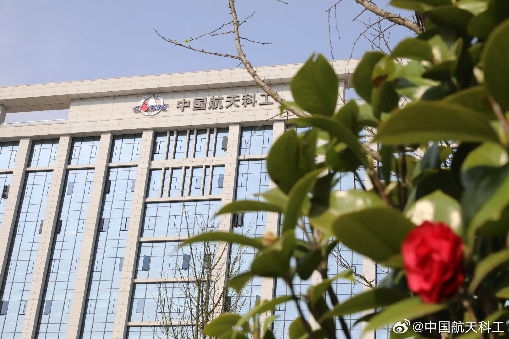 春光下的@中国航天科工 湖南航天园区生机盎然,小树长出了嫩芽…|嫩芽