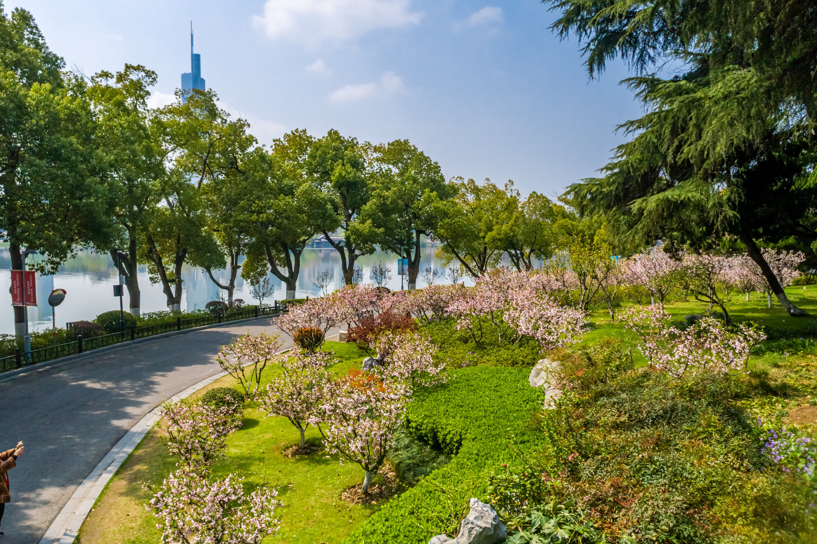 玄武湖公园的金色银杏叶，中国南京 (© SIPA Asia/ZUMA Wire/Alamy) @20200923 | NiceBing 必应美 ...