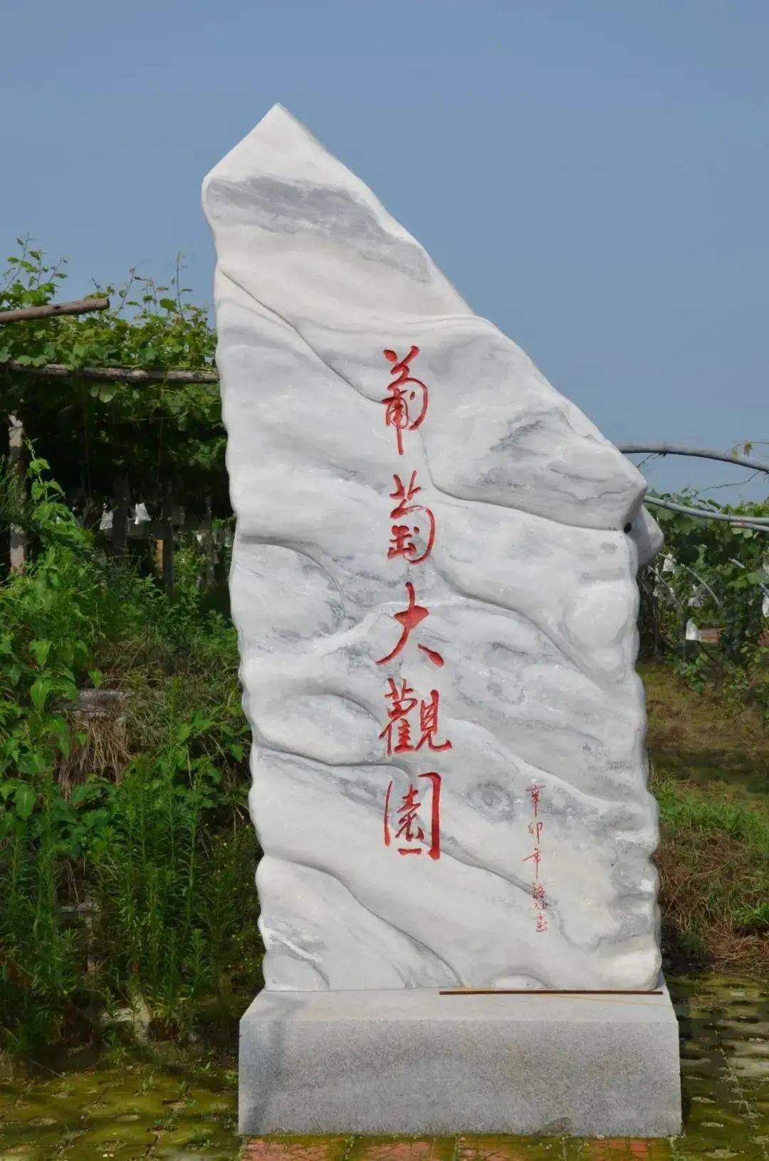 吃葡萄啦!第35届中国大泽山葡萄节开幕式今日举行