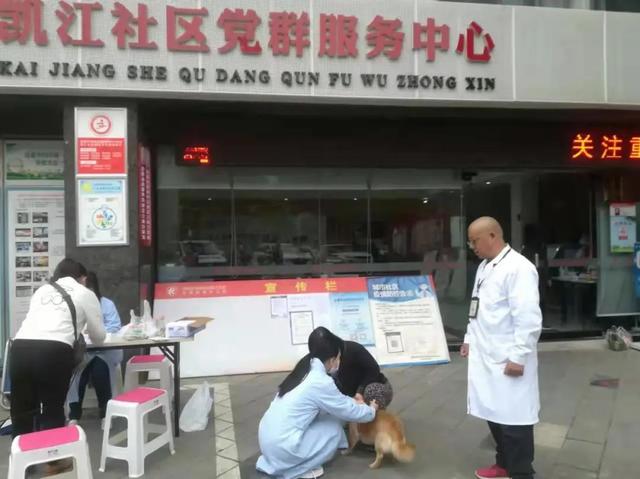 @德阳人 免费给狗狗打狂犬疫苗了！时间、地点看这里→休闲区蓝鸢梦想 - Www.slyday.coM