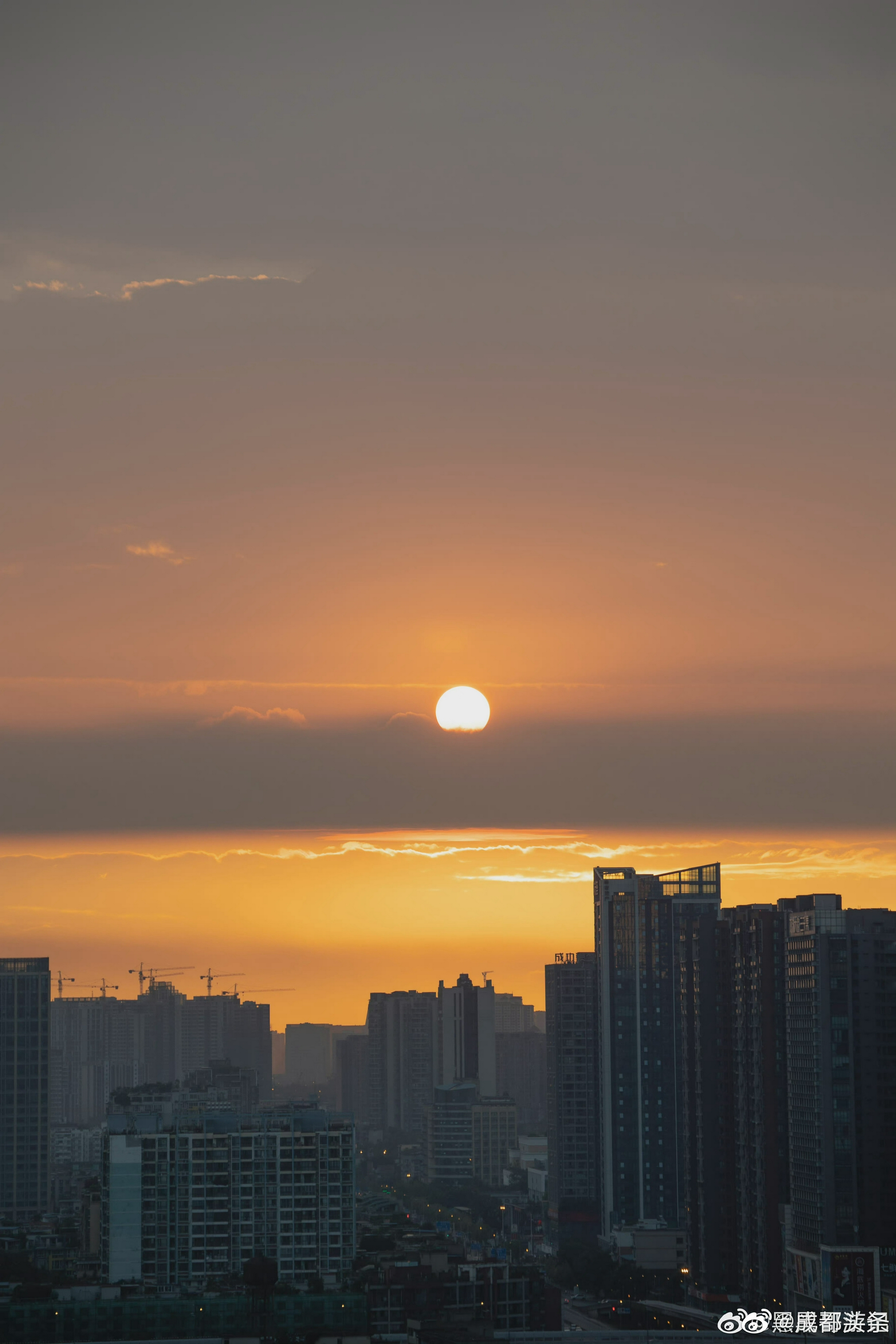 今日份成都清晨又美了!_高清图集_新浪网