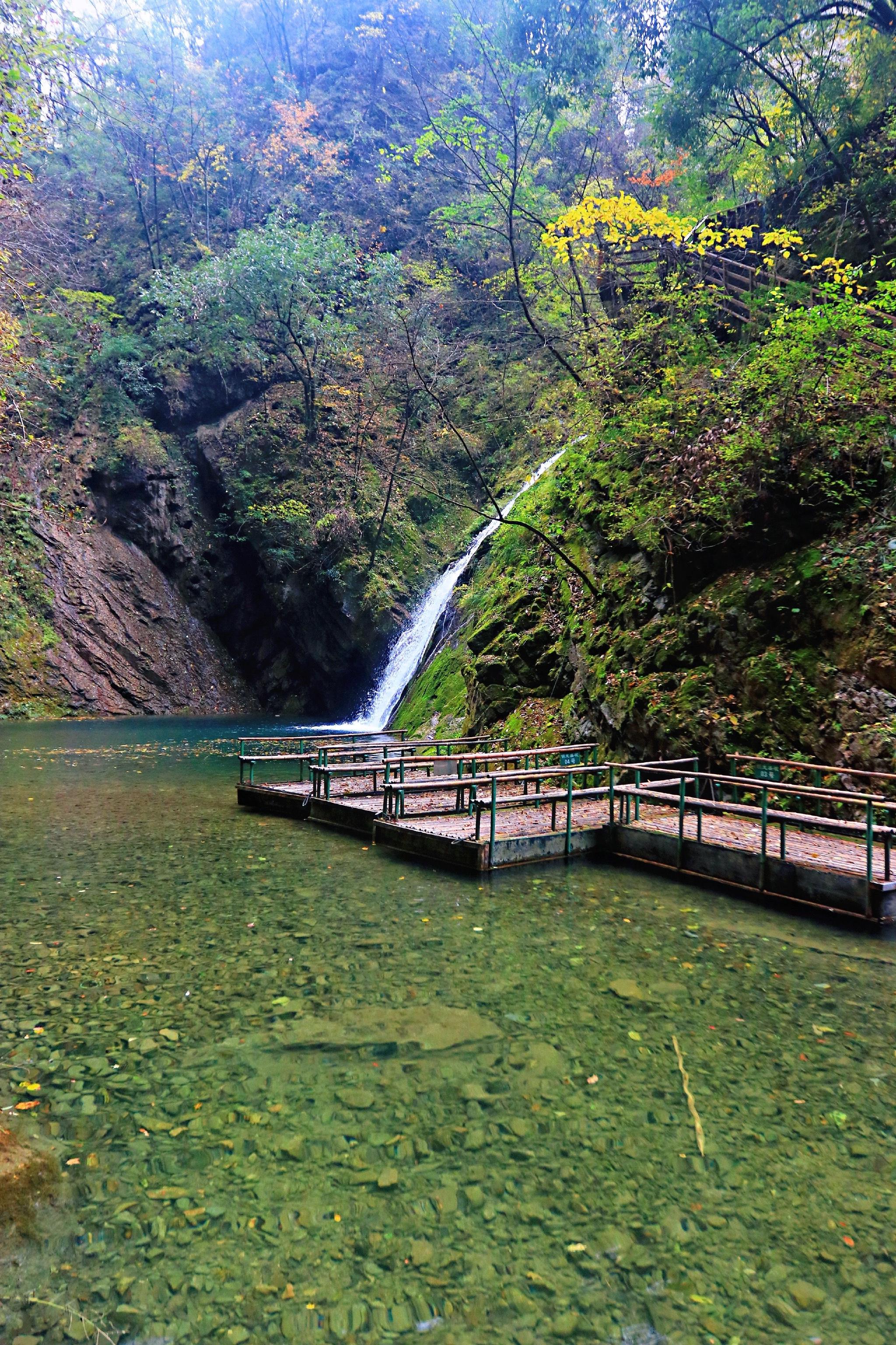 商洛的5a级景区金丝大峡谷的秋天真是美醉了