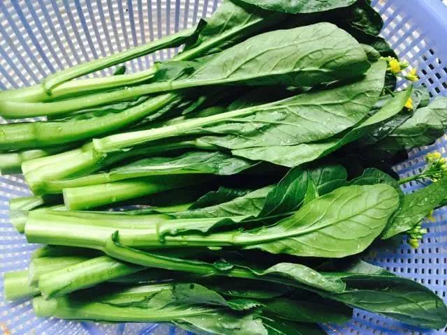 世纪大谜团:广东人口中的"菜心"究竟是什么?|菜心|增城|宁夏_新浪新闻