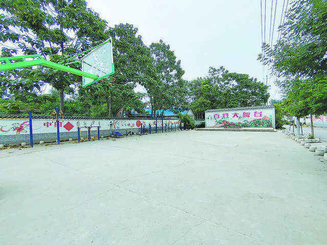 曹县青堌集镇班庄村:小木耳托起乡村振兴大产业