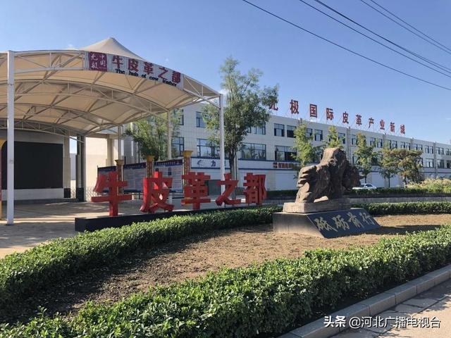 无极县关键词seo排名优化